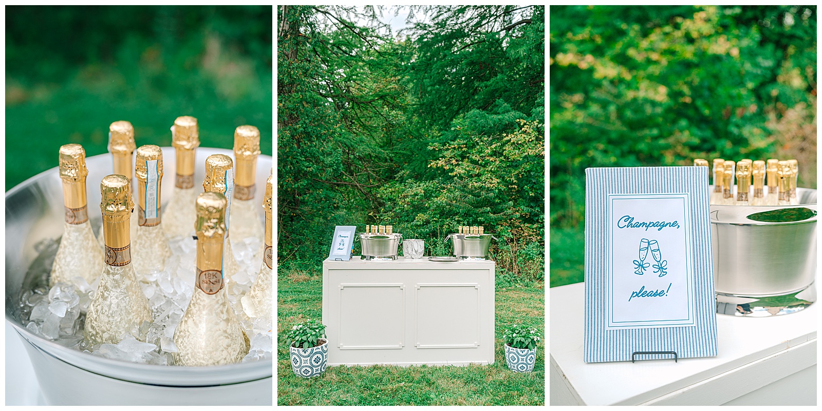 Blues and White Backyard Wedding in Clinton, Ohio | Heather J Photography | Ohio Wedding and Engagement Photographer