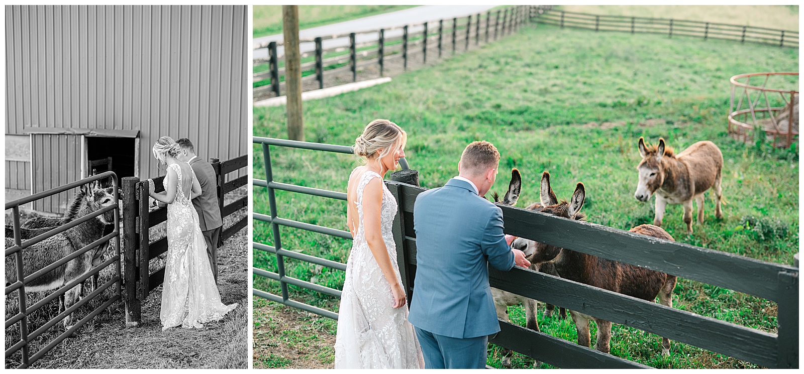 The Venue at Hidden Spring Farm Summer Wedding