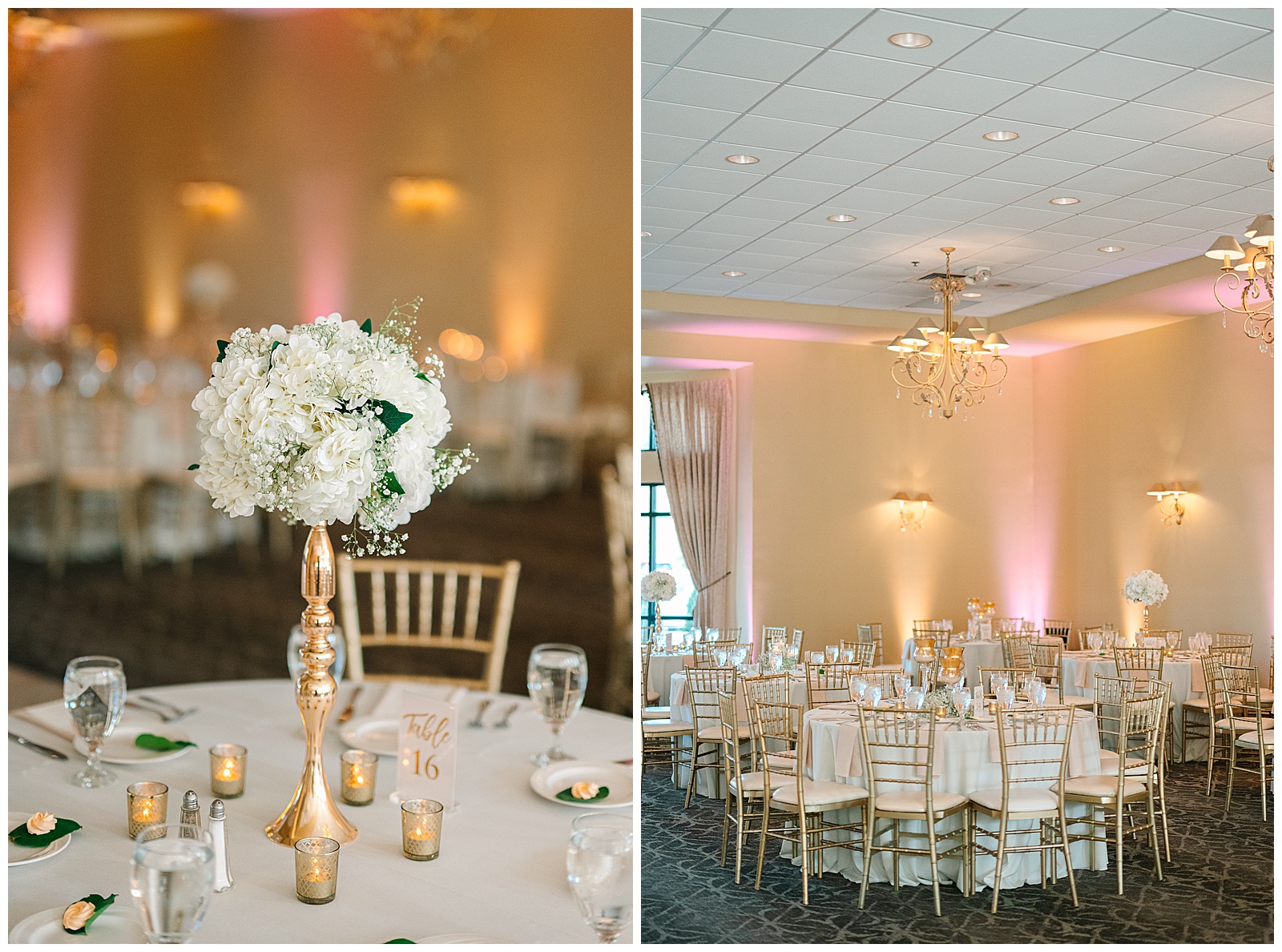 Blush Pink and Black Theme Wedding in Cleveland and Blue Heron Wedding in Medina Ohio